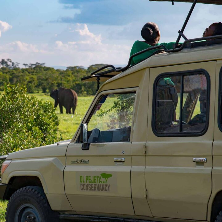 Ol Pejeta Conservancy